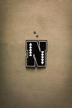 Load image into Gallery viewer, 2 FLY DIY PATCH LETTERS *small