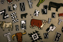 Load image into Gallery viewer, 2 FLY DIY PATCH LETTERS *large