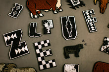 Load image into Gallery viewer, 2 FLY DIY PATCH LETTERS *small