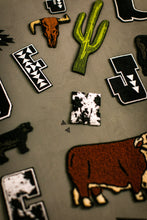 Load image into Gallery viewer, 2 FLY DIY PATCH *cactus