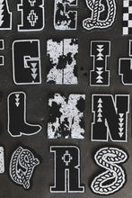 Load image into Gallery viewer, 2 FLY DIY PATCH LETTERS *large