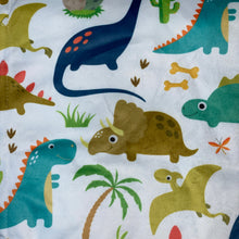 Load image into Gallery viewer, Minky Dot Plush Baby Blanket - Dinosaurs
