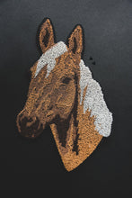 Load image into Gallery viewer, 2 FLY DIY PATCH *palomino
