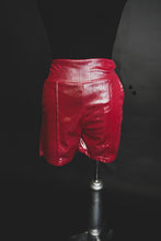 Load image into Gallery viewer, SHINEY SHORT* FIREWORK
