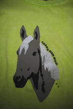 Load image into Gallery viewer, WILD HORSES
